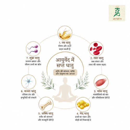 आयुर्वेद में सप्त धातु क्या हैं