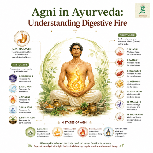 Agni in Ayurveda: Understanding Digestive Fire