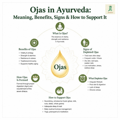 what is ojas in ayurveda